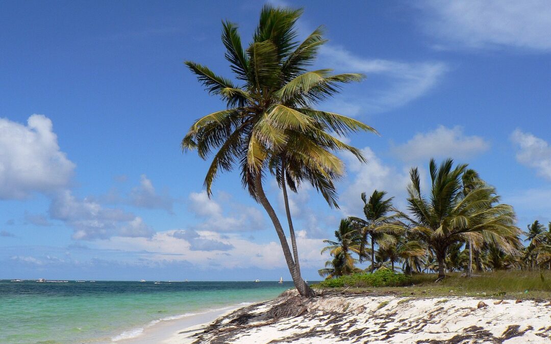 bavaro punta canana en República Dominicana.